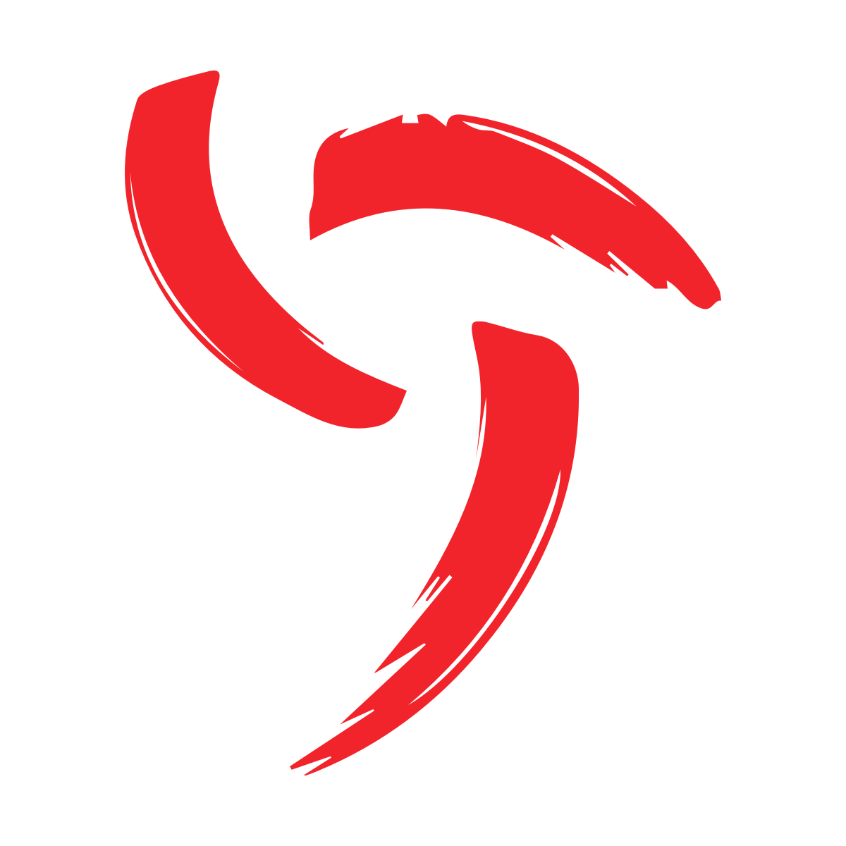 Stichting Cordaid logo