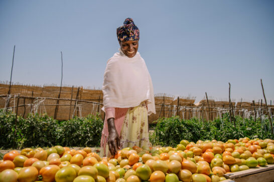 woman tomato farmer in Ethiopia