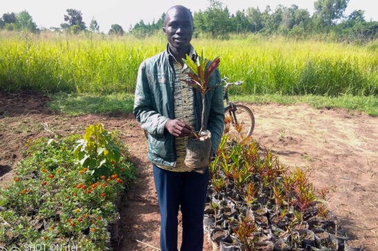 young man holding a seedling plant standing out in the open with lush green setting in the background