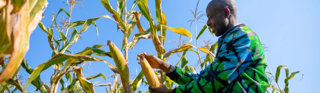 Rwandan maize farmer