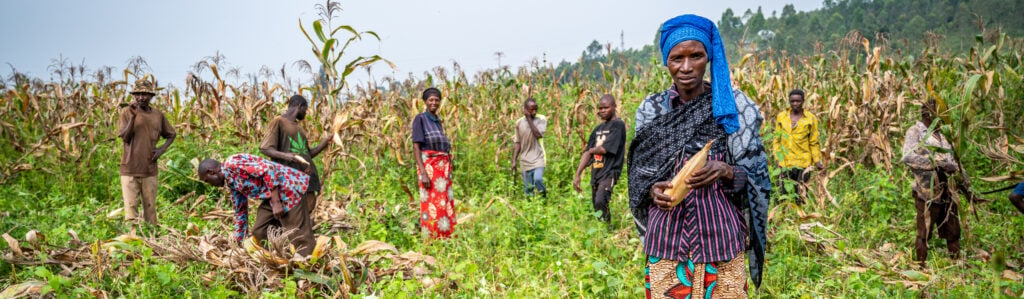 Rwandan maize farmers working in their field.