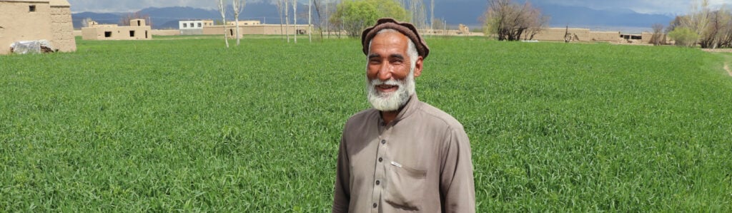 Afghan wheat farmer.