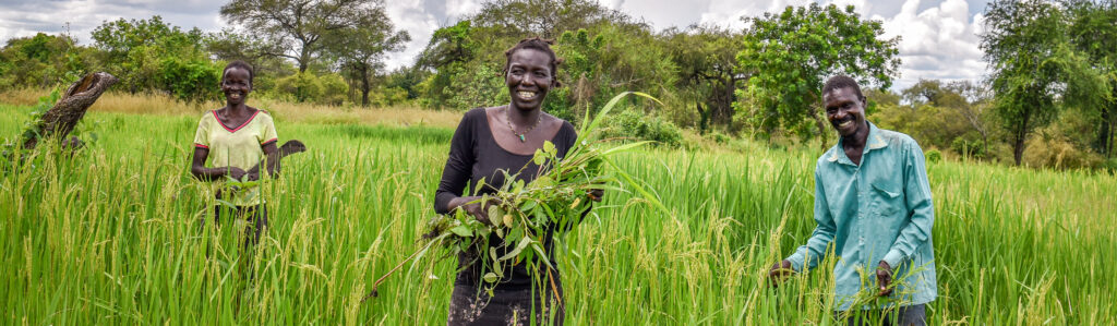 Ugandan farmers.