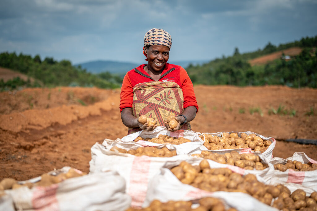 Burundian potato farmer.