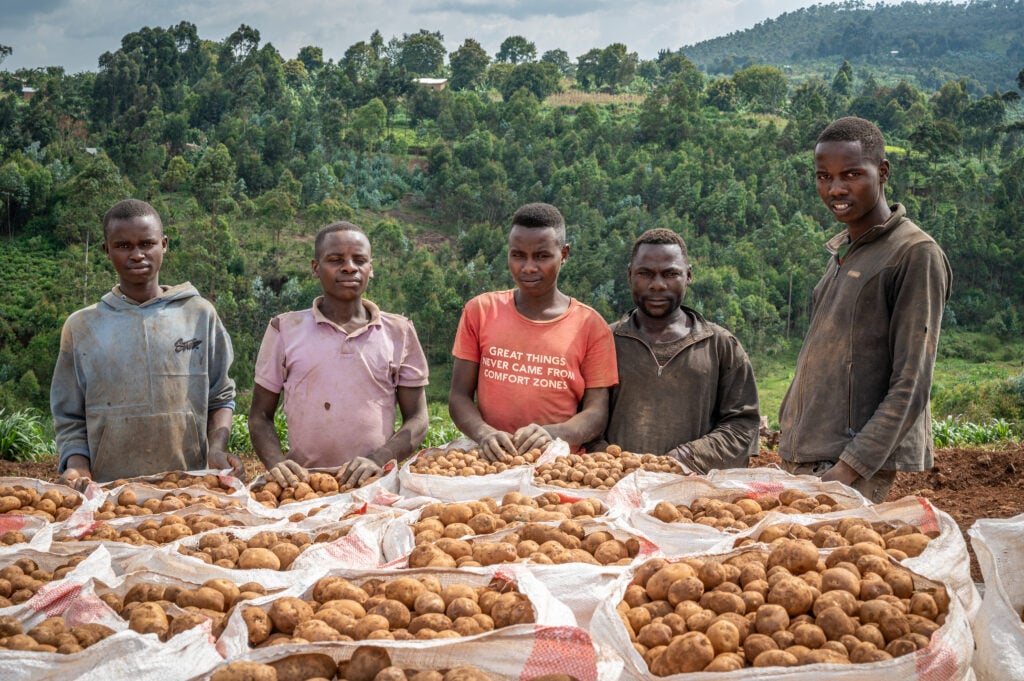 burundian potato farmers.