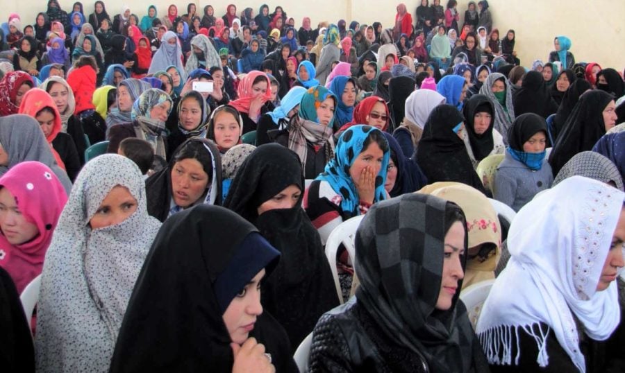 Afghan women gender equity AWN