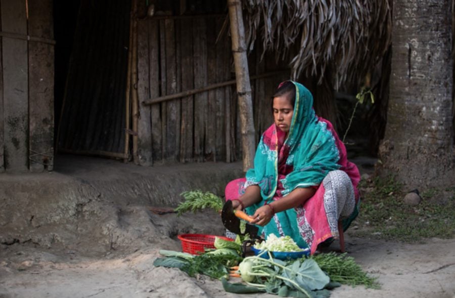 Bangladesh salt-tolerant crops salinisation