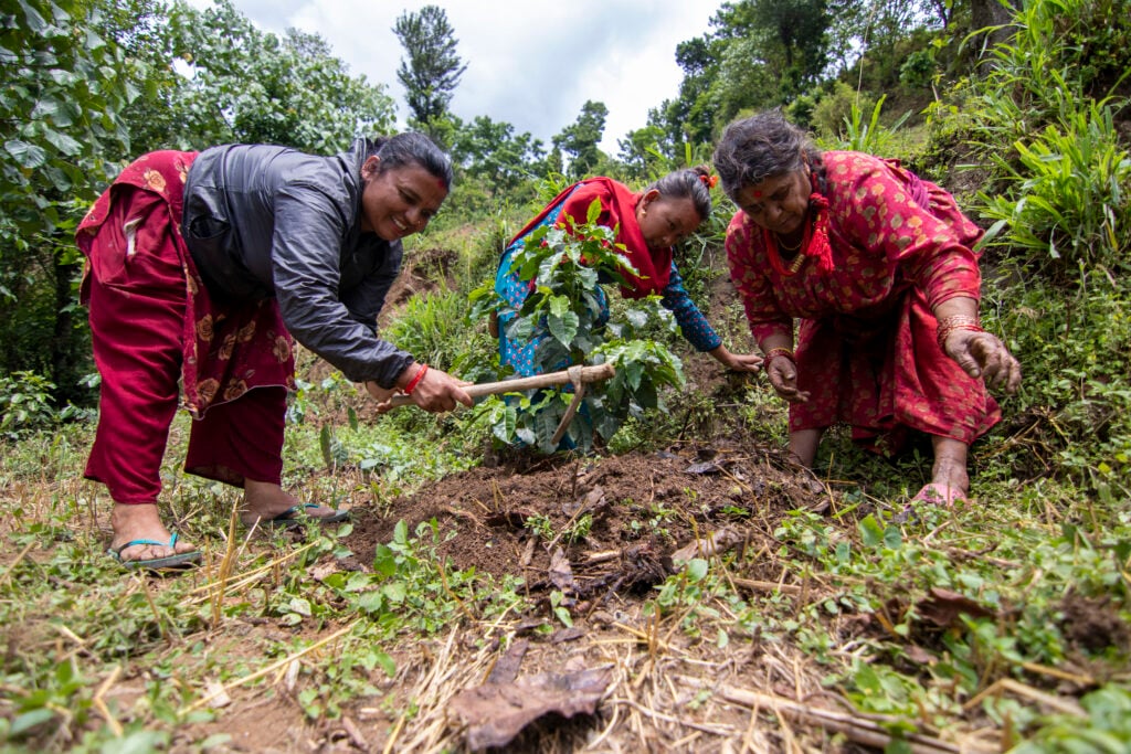 three women on a steep farm plot working the field and attending coffee plant saplings