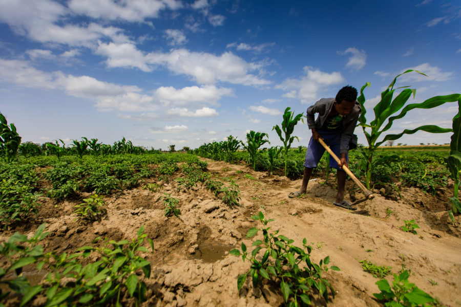 Farmer working the land under a bright and cloudy sky