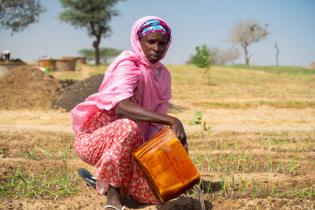 woman in pink dress and head scarf irrigating seedlings on her plot of land